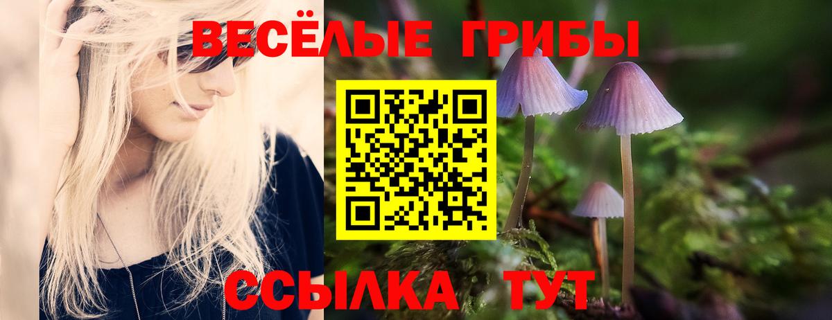 Галлюциногенные грибы MAGIC MUSHROOMS Рославль
