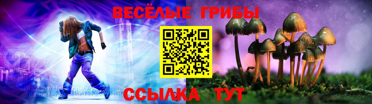 Псилоцибиновые грибы прущие грибы  Вход с VPN  Рославль 